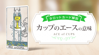 01_Cups_アイキャッチ