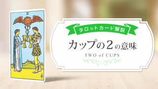 02_Cups_アイキャッチ